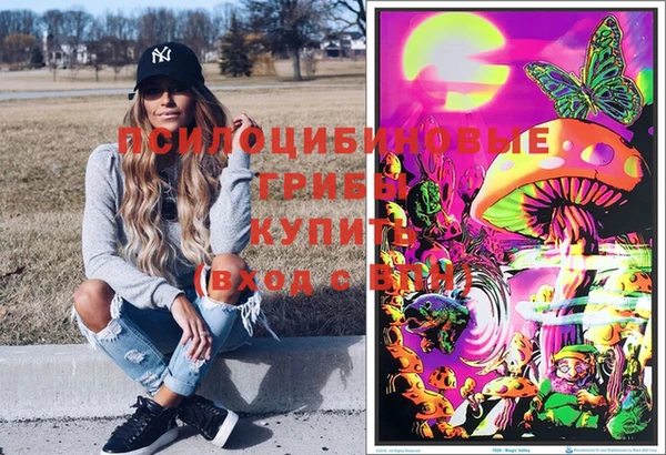 apvp Киреевск