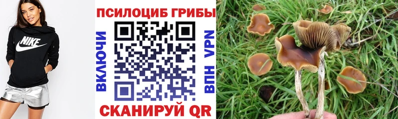 Псилоцибиновые грибы Magic Shrooms  Кяхта 